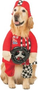 Pet Race Car Driver Dog Costume For Small Dogs