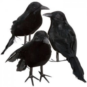 Halloween-Costume-Zone.com - Halloween Bird Watching – The Dark Side